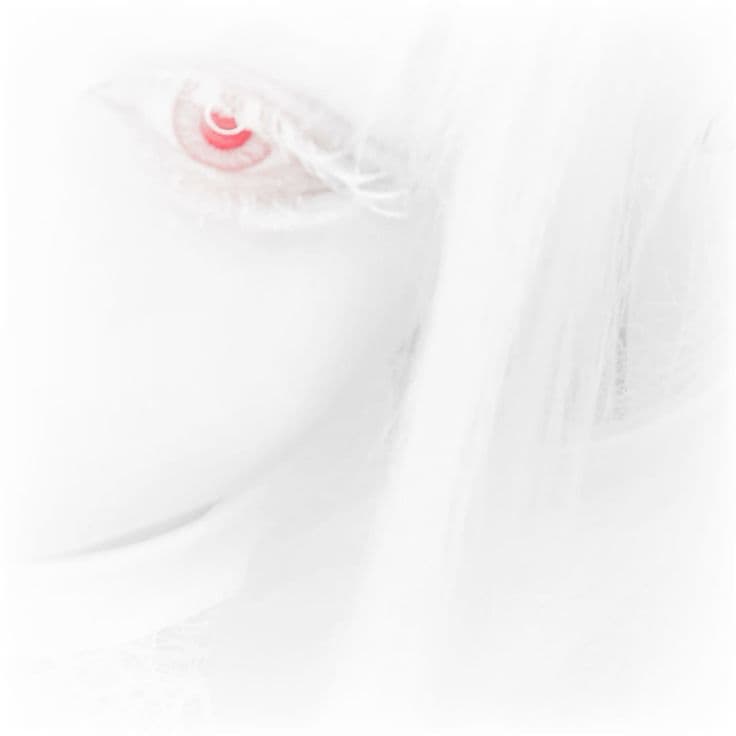 Marcus profile picture